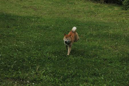 c0123890_176229.jpg