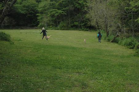 c0123890_17685.jpg