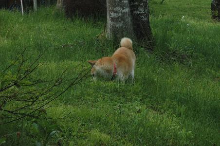 c0123890_20121545.jpg