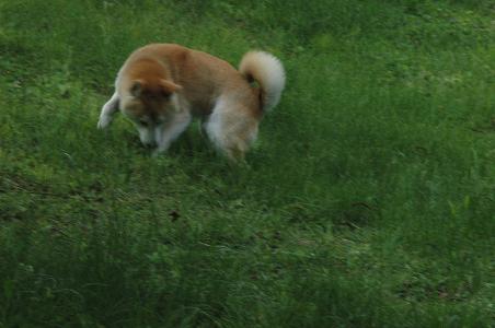 c0123890_20123661.jpg