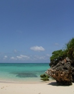 f0165392_9315061.jpg