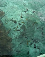 f0165392_9433745.jpg