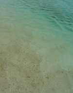 f0165392_9443779.jpg