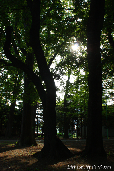 f0001895_2012976.jpg