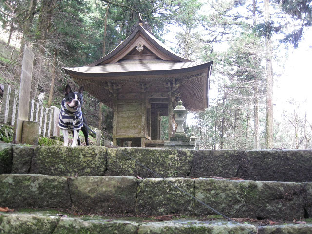 e0178097_16135540.jpg