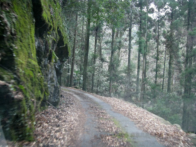e0178097_1631390.jpg