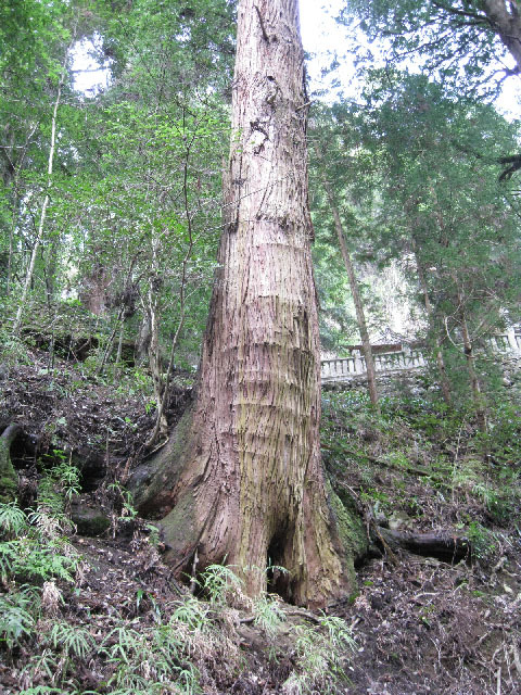 e0178097_1682045.jpg