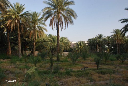 f0053297_13414043.jpg