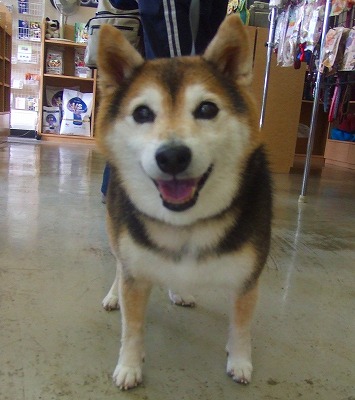 f0077697_1818057.jpg