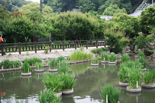 c0129498_15514397.jpg