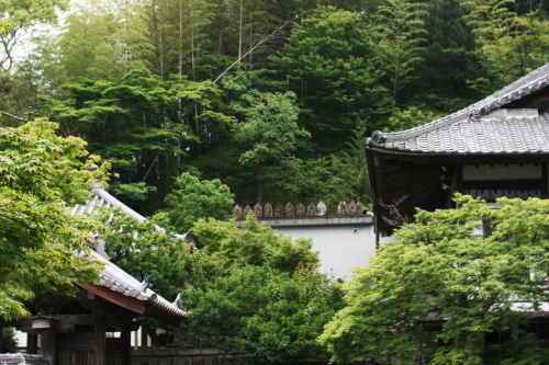 c0129498_15524221.jpg
