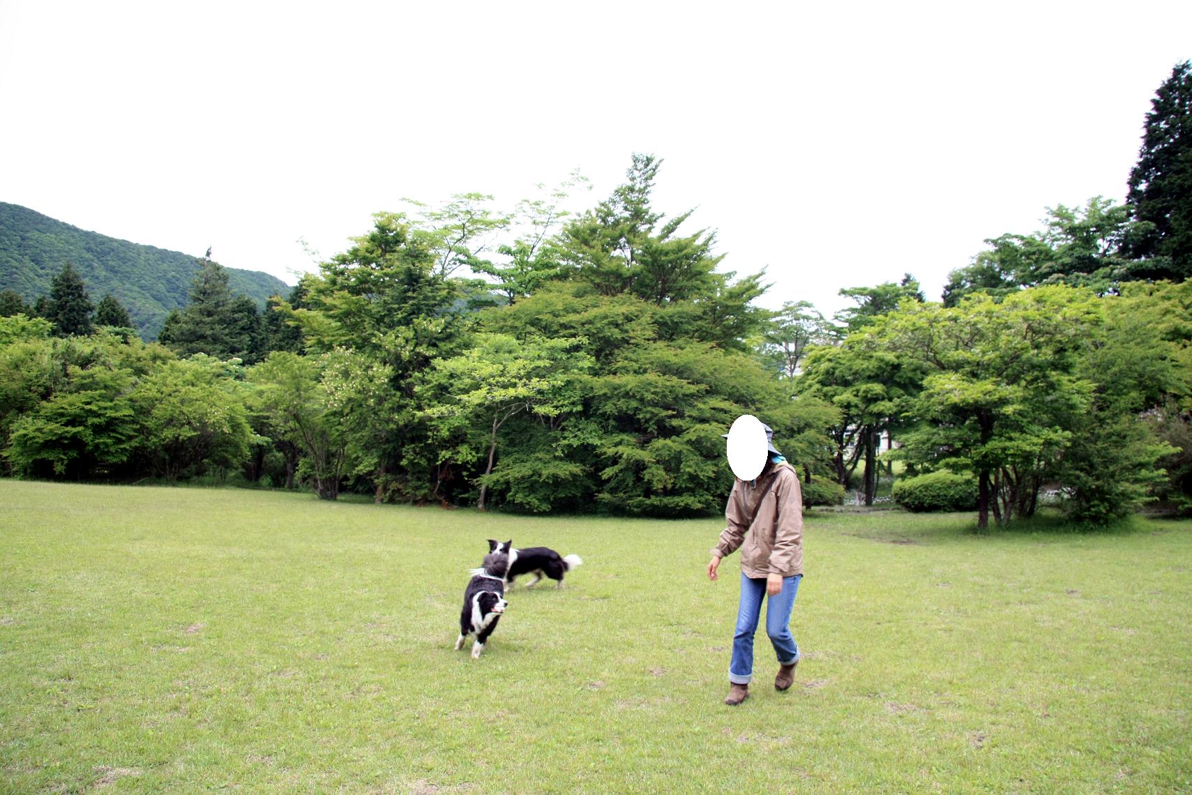 f0034602_18273060.jpg