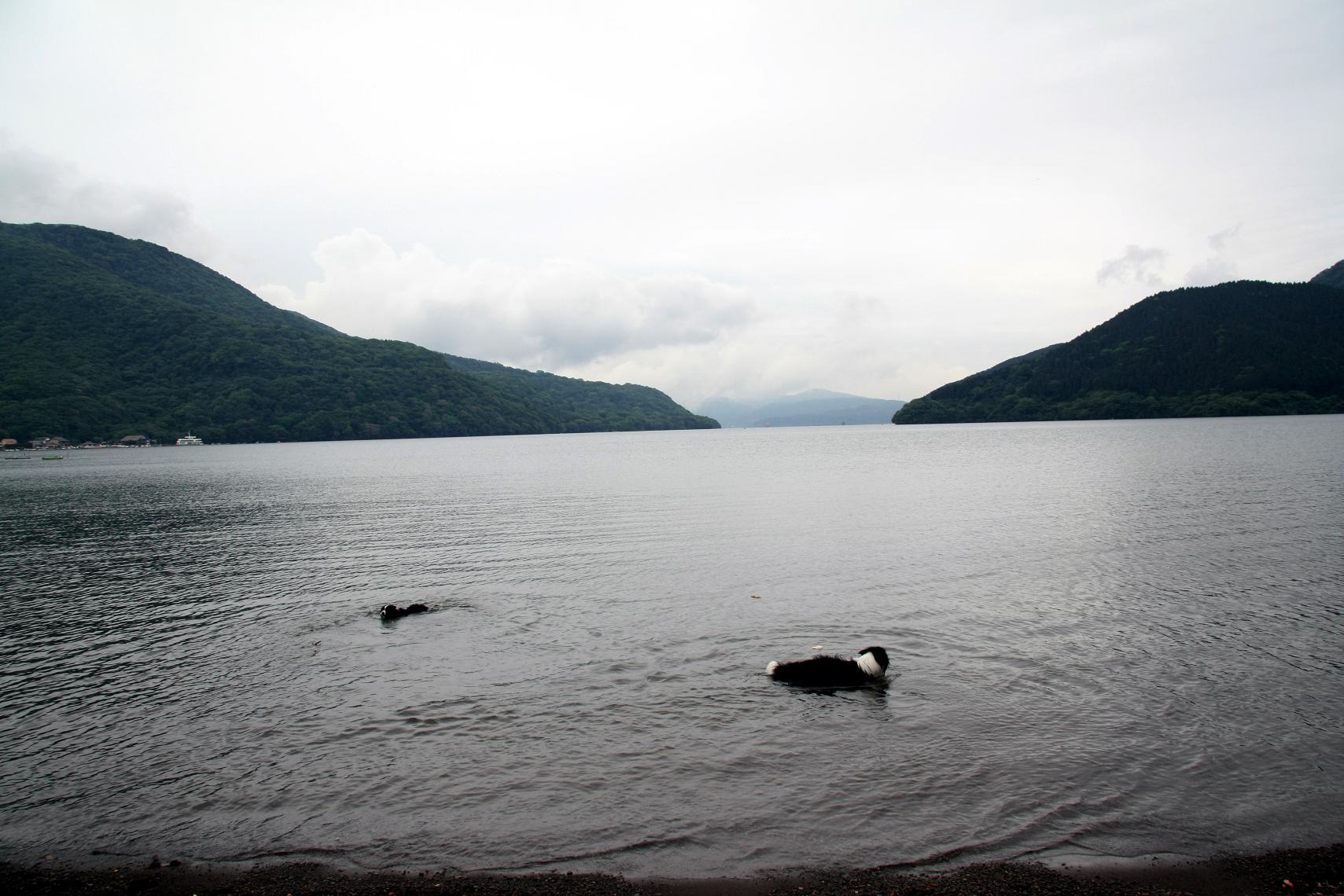 f0034602_18282441.jpg
