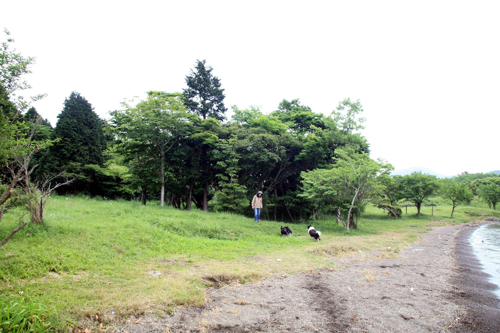 f0034602_18284682.jpg