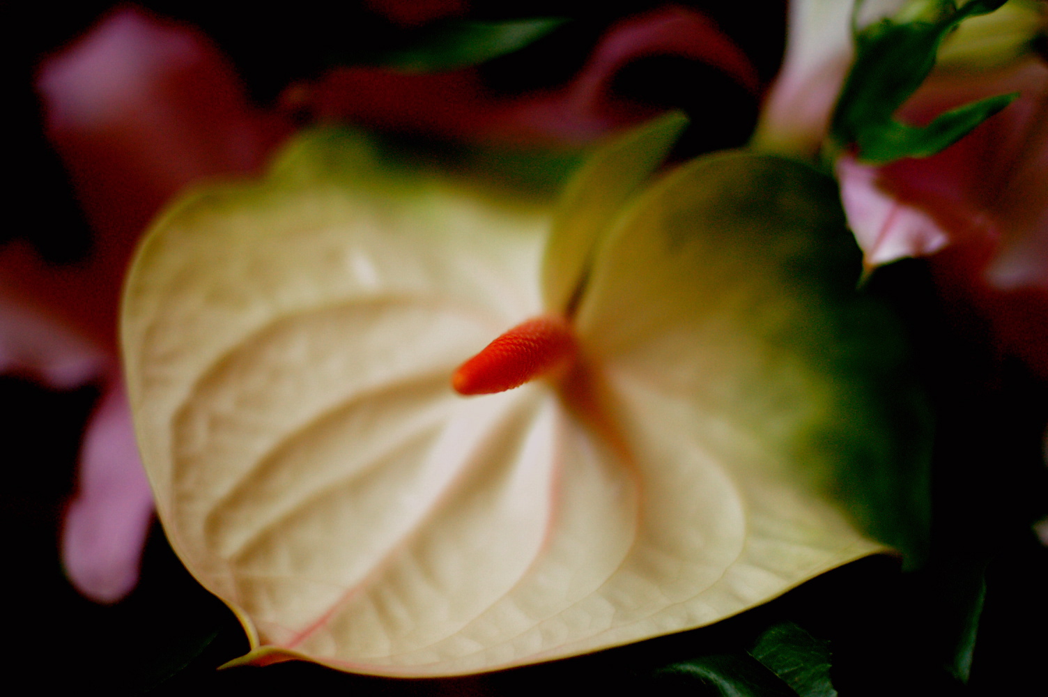 a0157704_328321.jpg