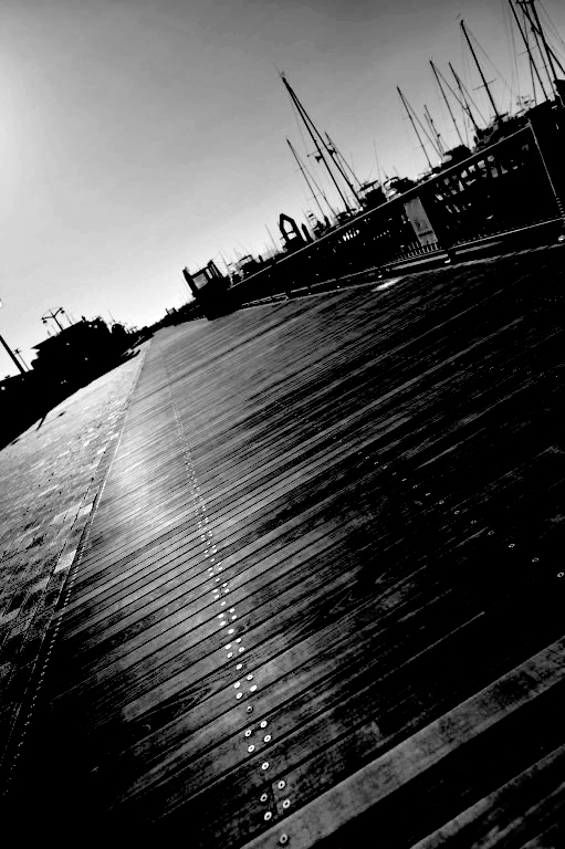 d0119505_6522920.jpg