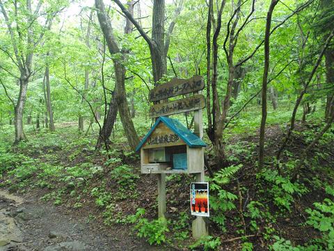 c0209409_1859353.jpg