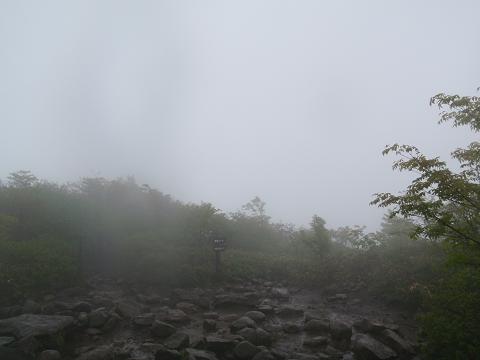 c0209409_1918581.jpg