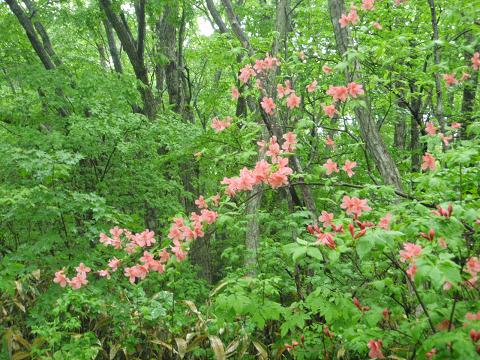 c0209409_1922879.jpg