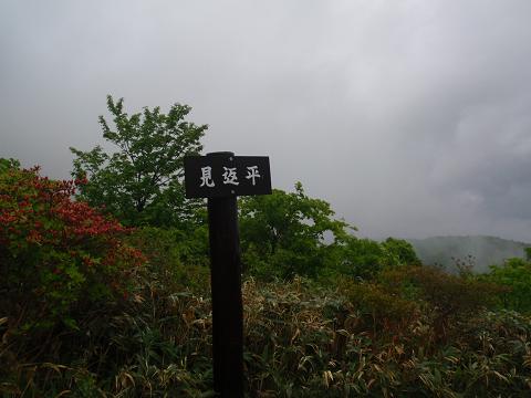c0209409_19303820.jpg