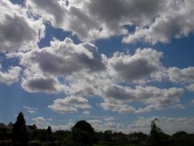 d0154612_642590.jpg