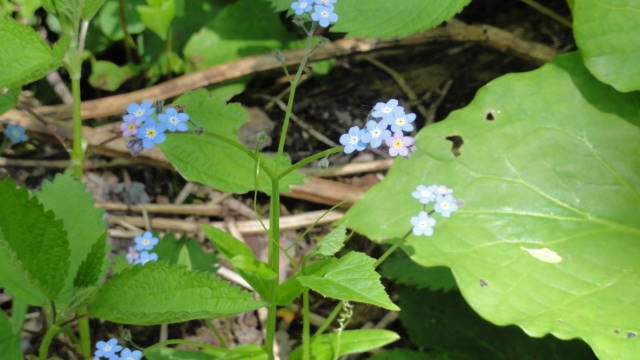 f0233414_23325638.jpg