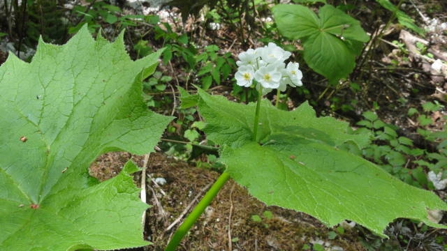 f0233414_23332467.jpg