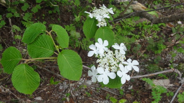 f0233414_23334689.jpg