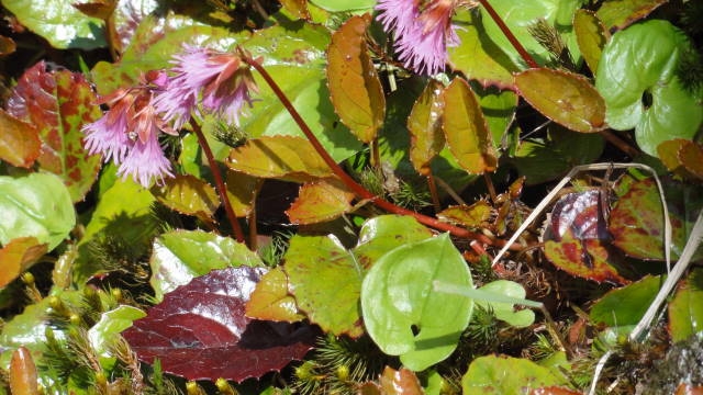 f0233414_2343424.jpg