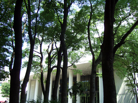 c0077615_2253752.jpg