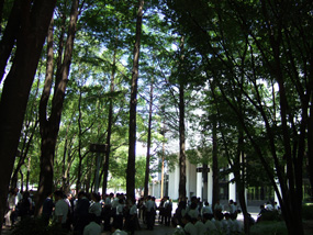 c0077615_22544068.jpg