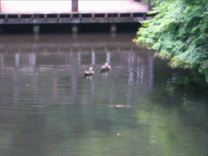 c0219815_22261588.jpg