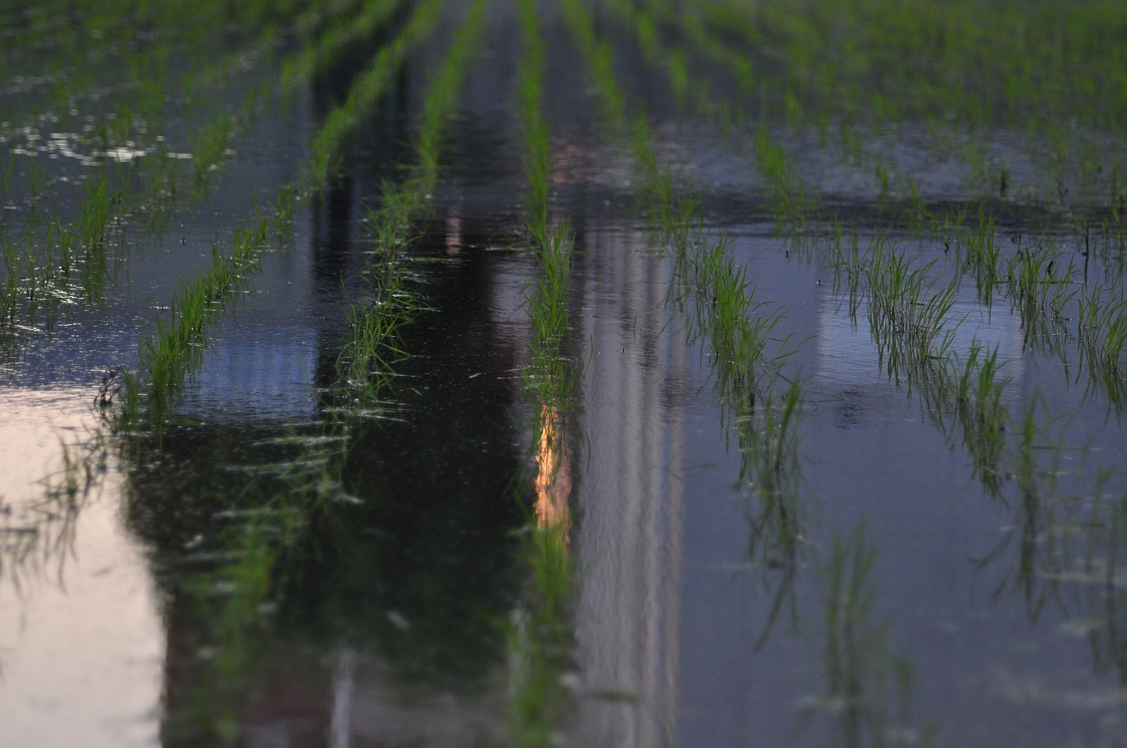 c0116216_3462458.jpg