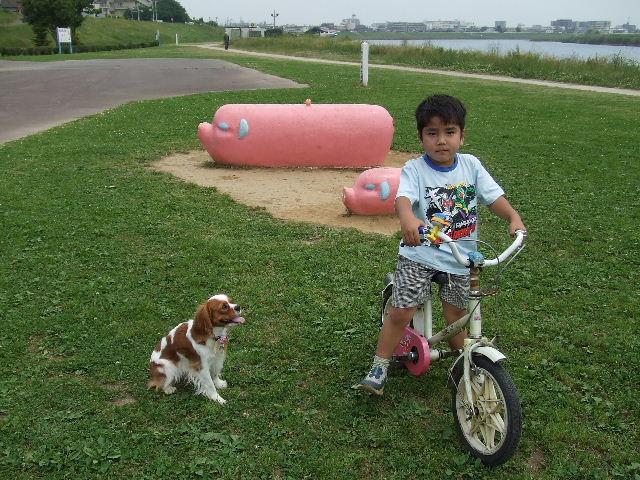 f0214121_2131277.jpg