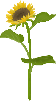 c0123031_14104317.gif