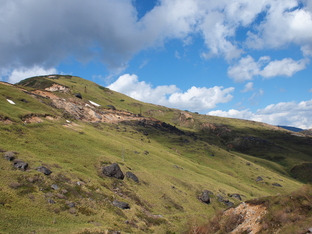 d0171431_015491.jpg