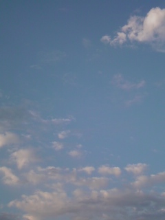 f0100831_03829100.jpg