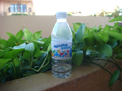 e0148432_1433421.jpg