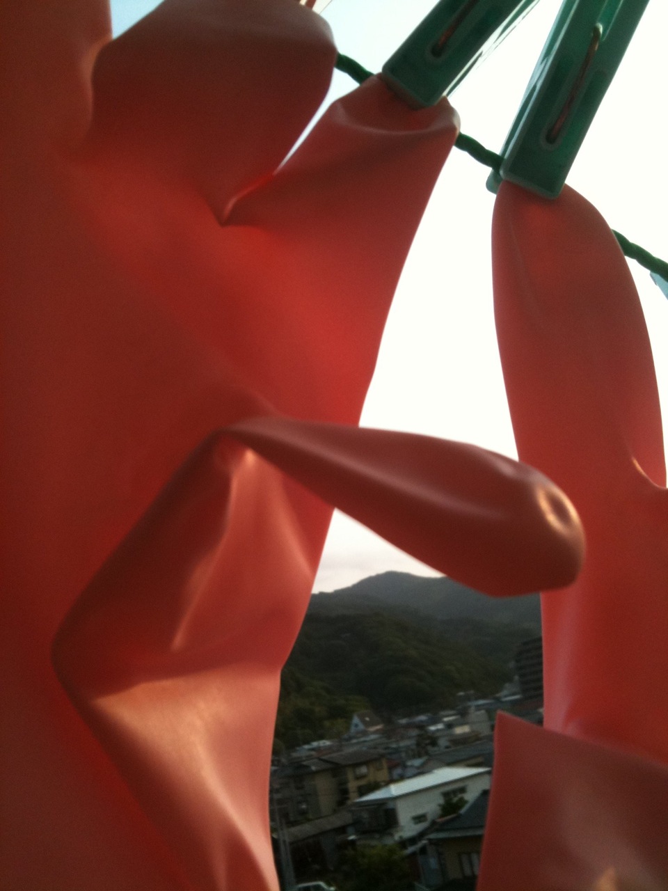 c0082534_1735751.jpg