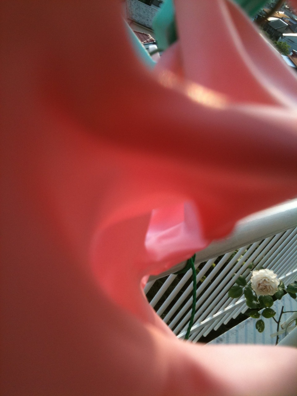 c0082534_1749548.jpg