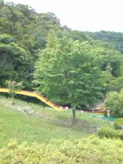 c0100534_758571.jpg