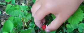 d0063438_1531213.jpg