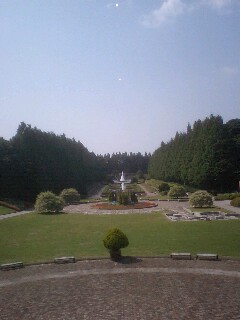 d0100239_19561255.jpg
