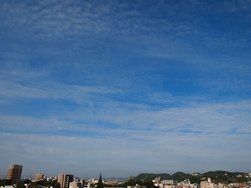 a0146442_7335044.jpg