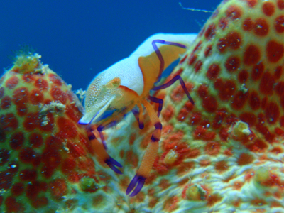 d0065247_1742030.jpg