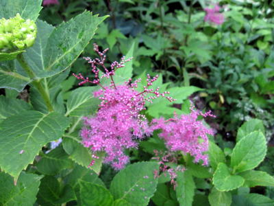 c0147952_22422122.jpg