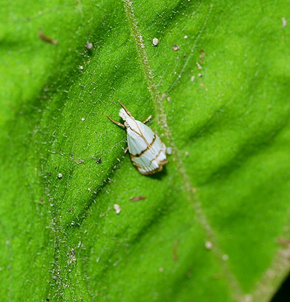 d0091754_0201682.jpg