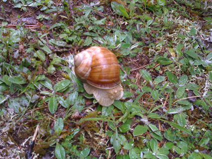 b0180156_5321115.jpg