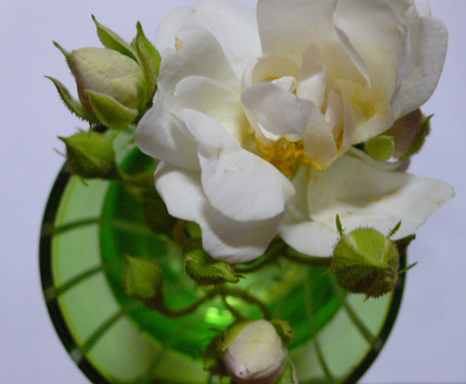 b0180156_5394629.jpg