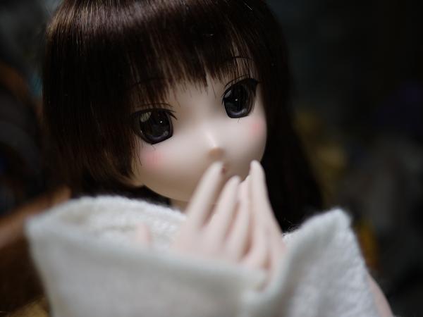 a0053558_23583518.jpg